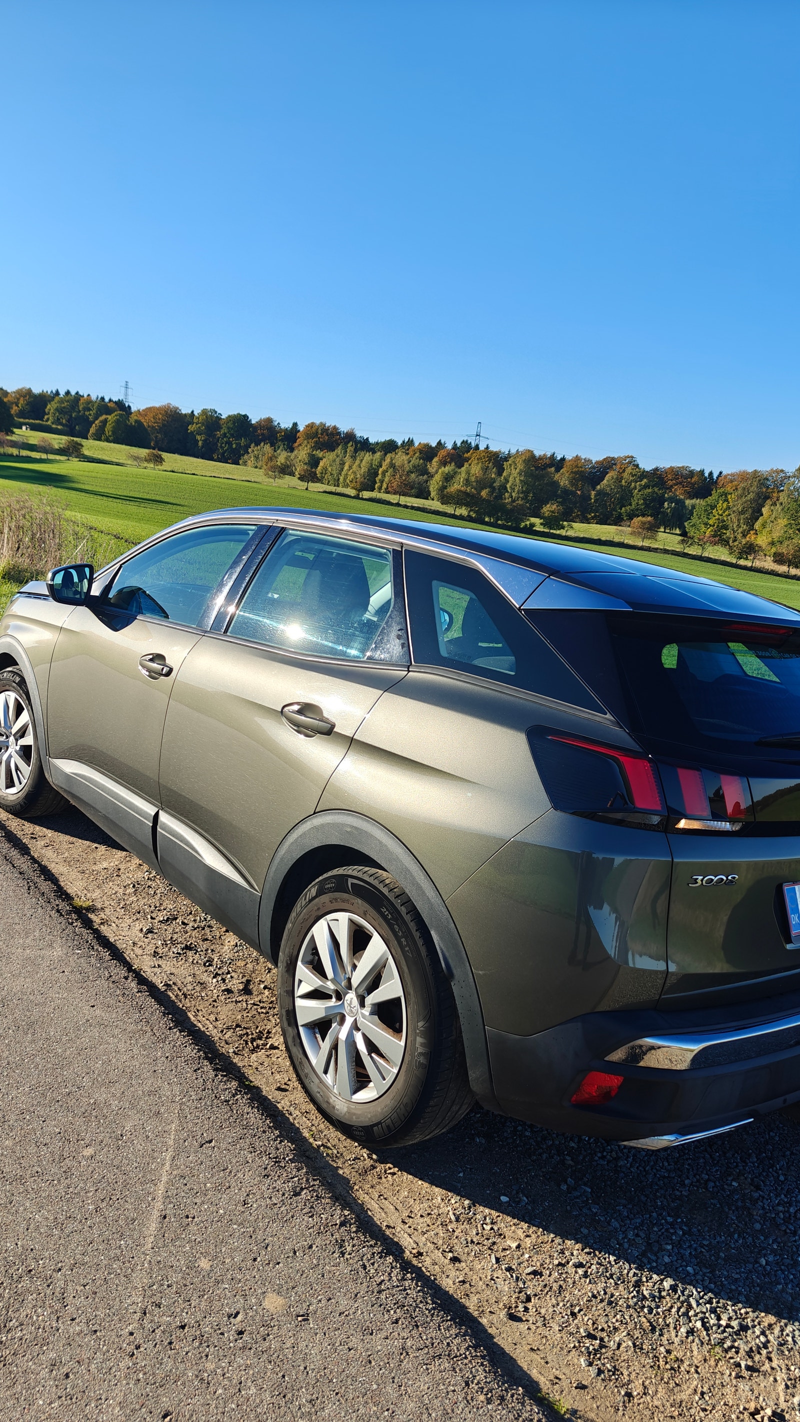 Peugeot 3008 til salg hos Nabilli