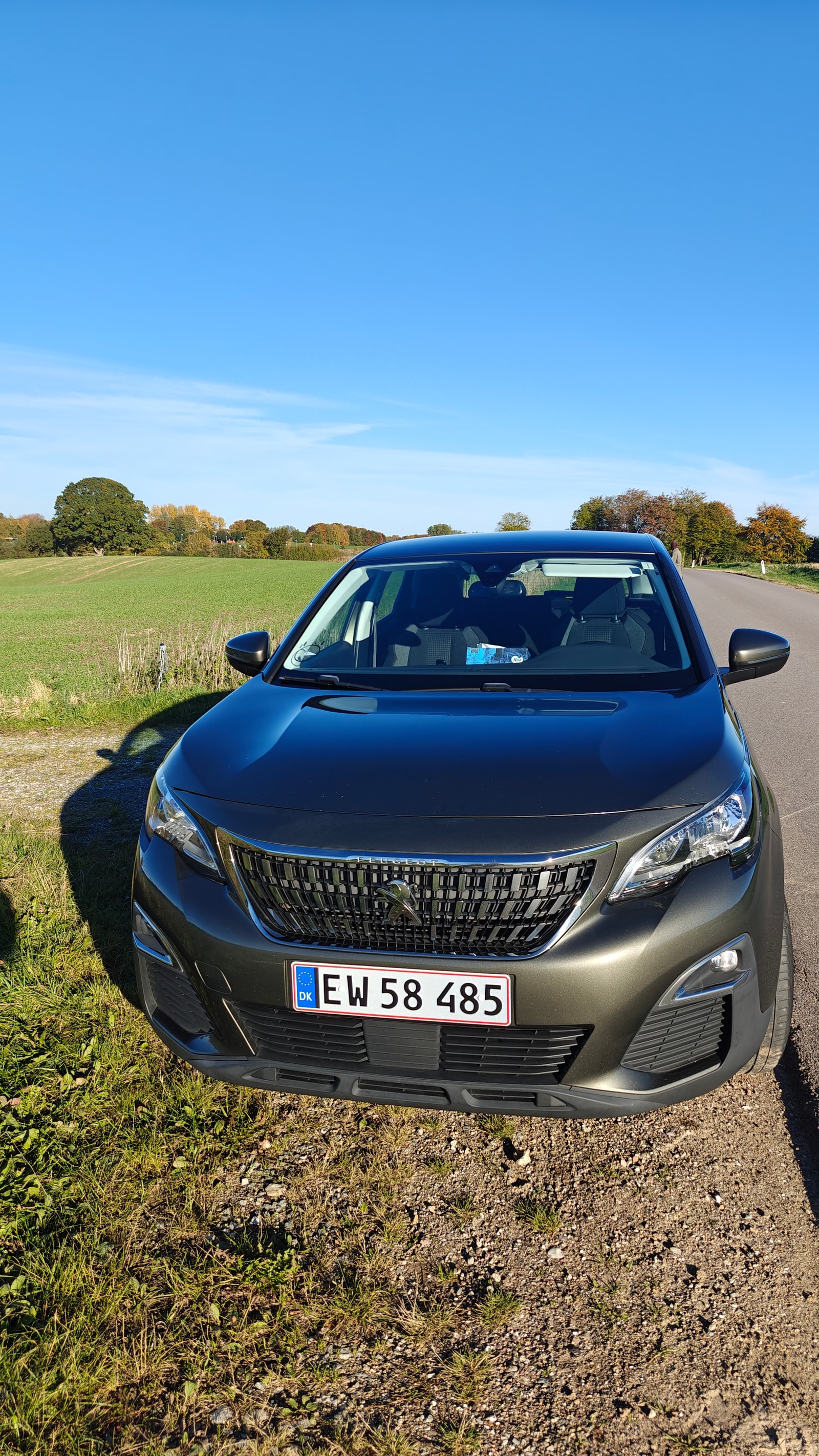 Peugeot 3008 til salg hos Nabilli