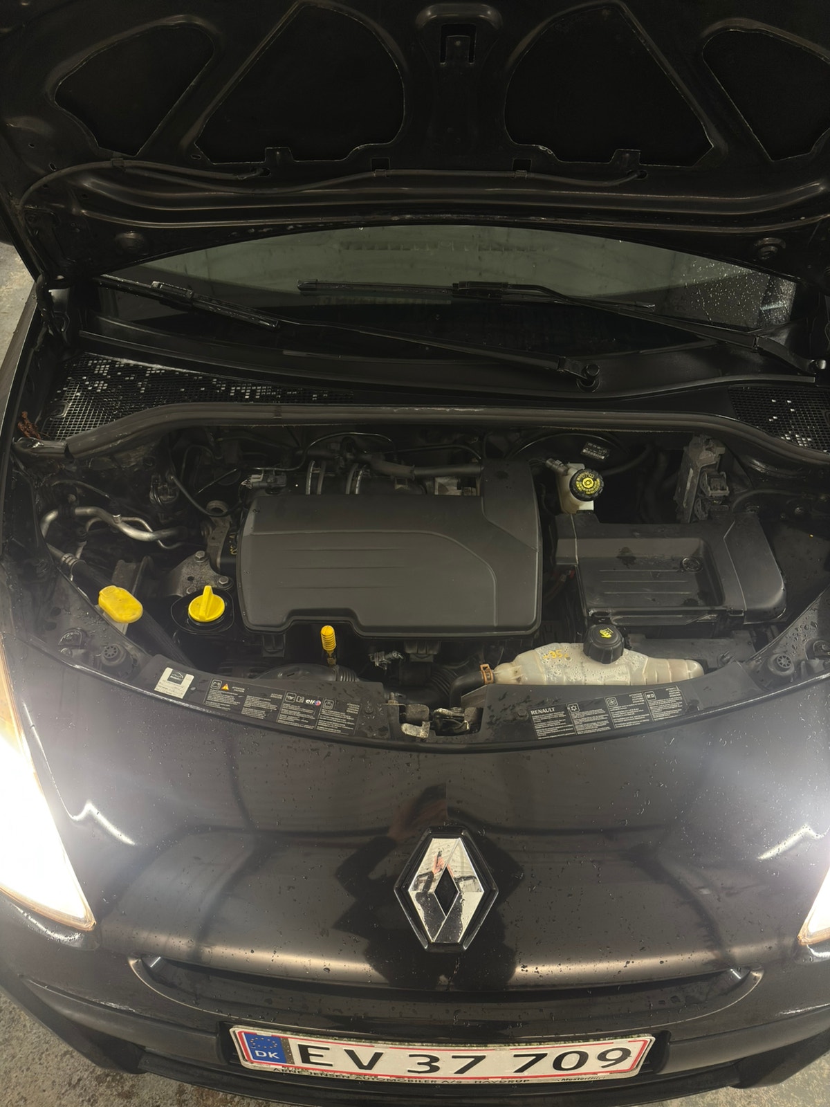 Renault Clio III til salg hos Nabilli
