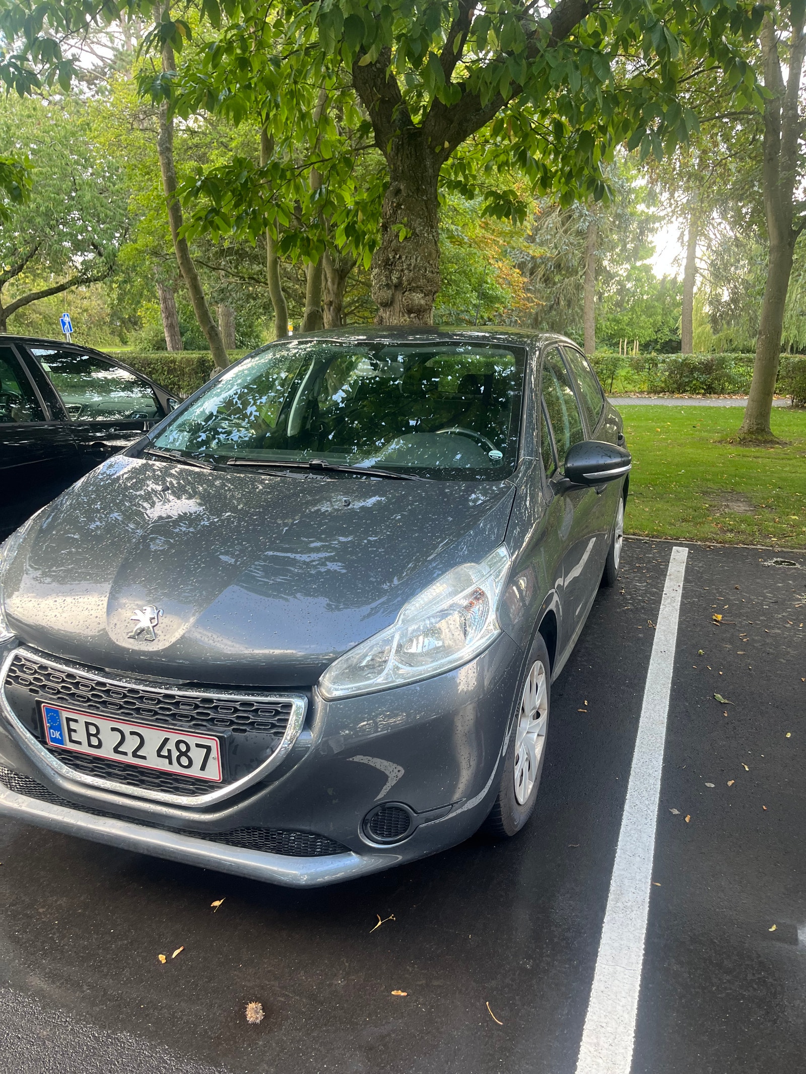 Peugeot 208 til salg hos Nabilli