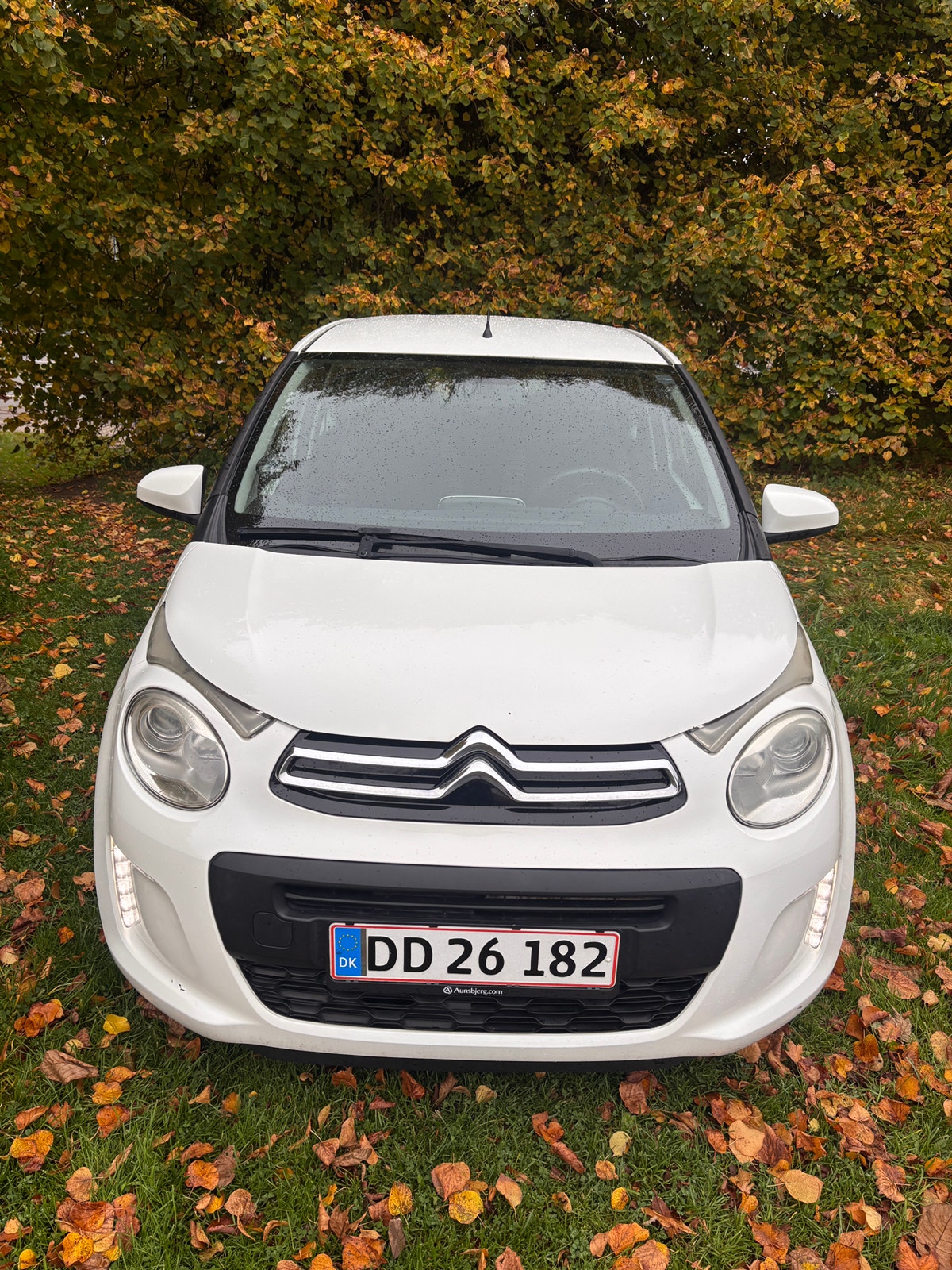 Citroen C1 til salg hos Nabilli