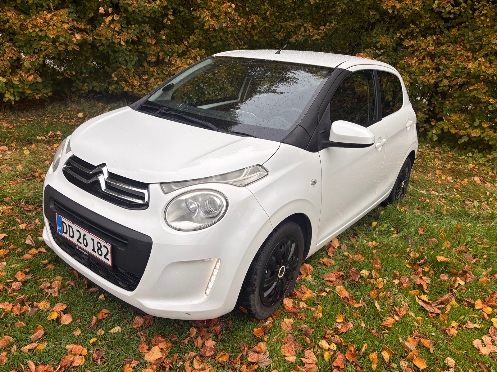 Citroen C1 til salg hos Nabilli