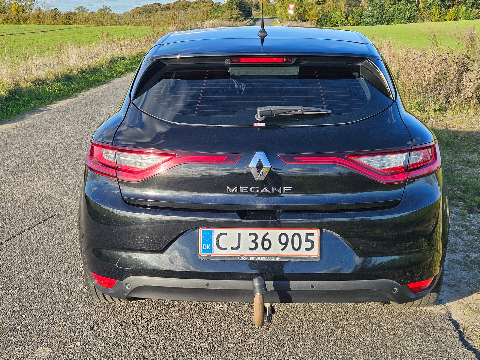 Renault Megane IV til salg hos Nabilli