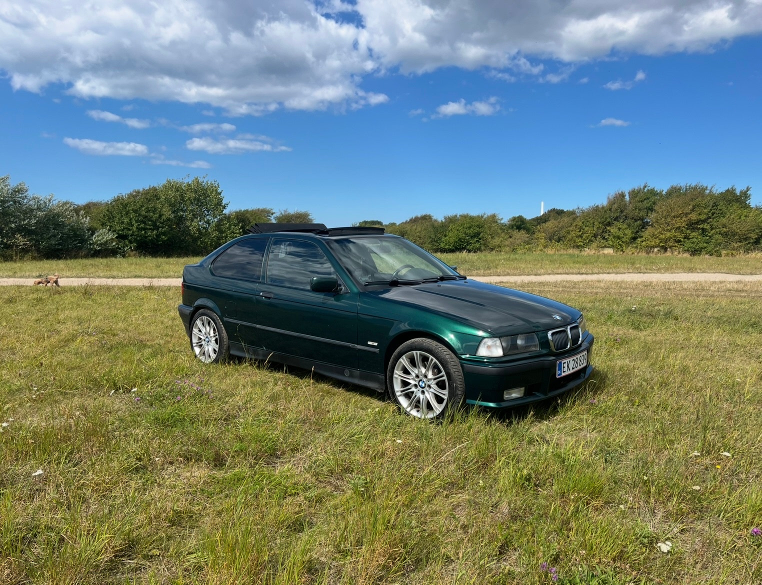 BMW 316i til salg hos Nabilli