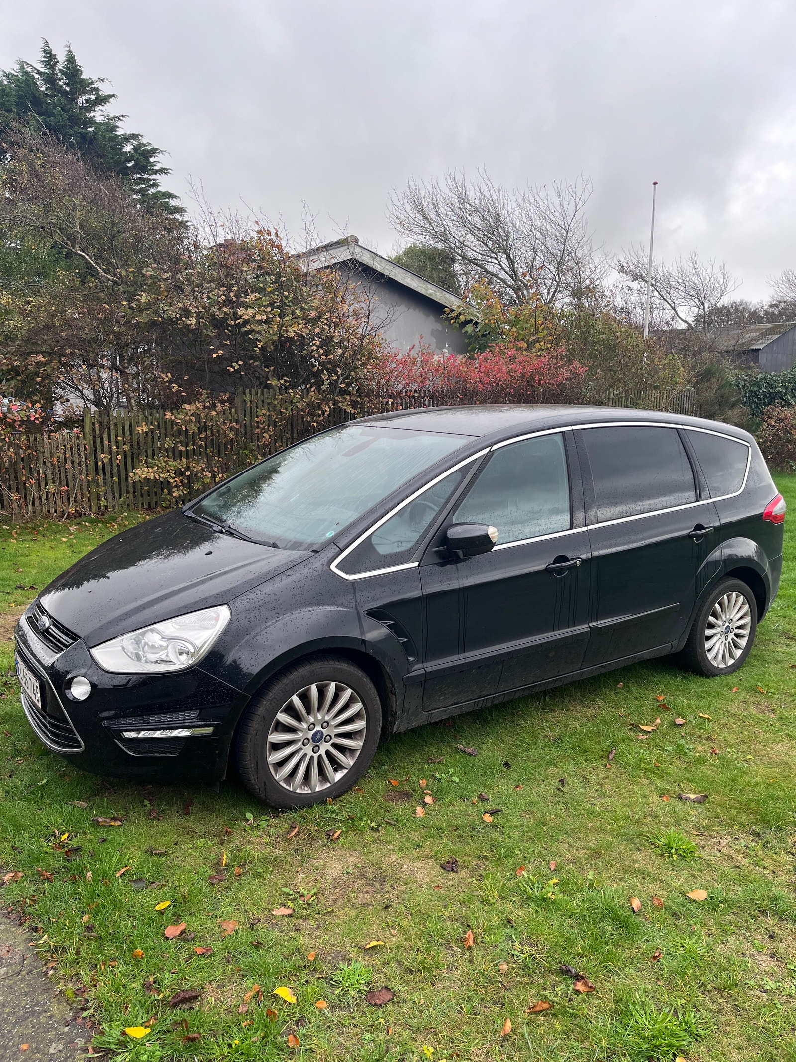 Ford S-MAX – billede 2