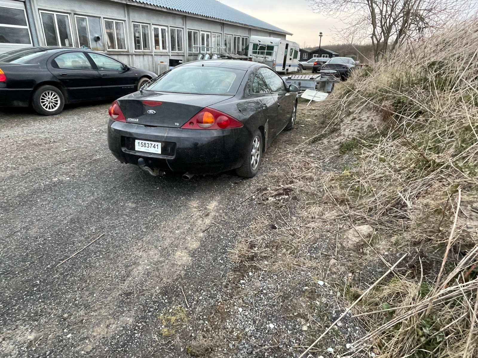 Ford Cougar til salg hos Nabilli