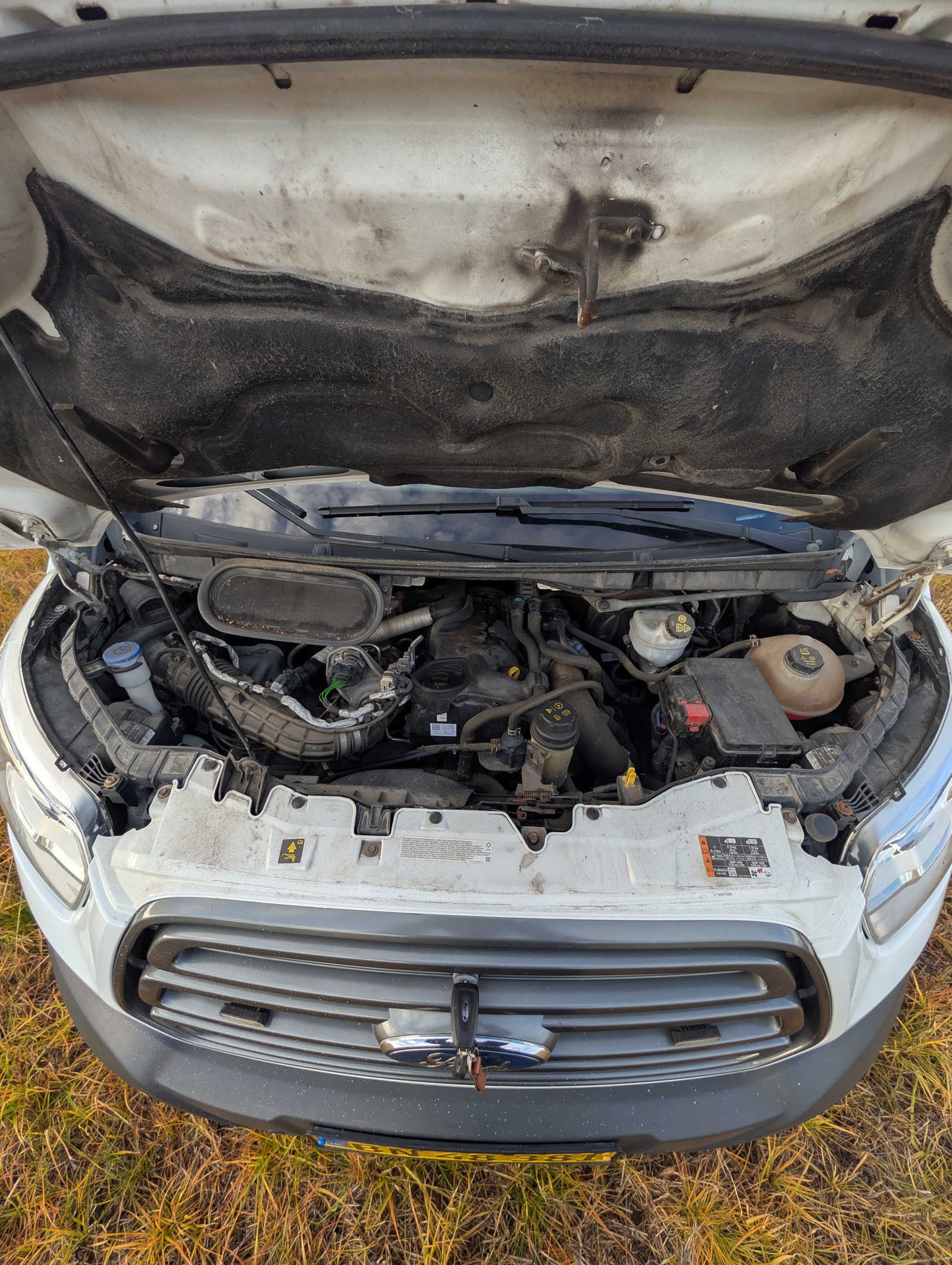 Ford Transit 350 L4 Van til salg hos Nabilli