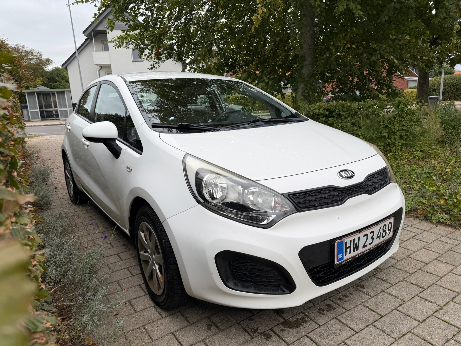 Kia Rio til salg hos Nabilli