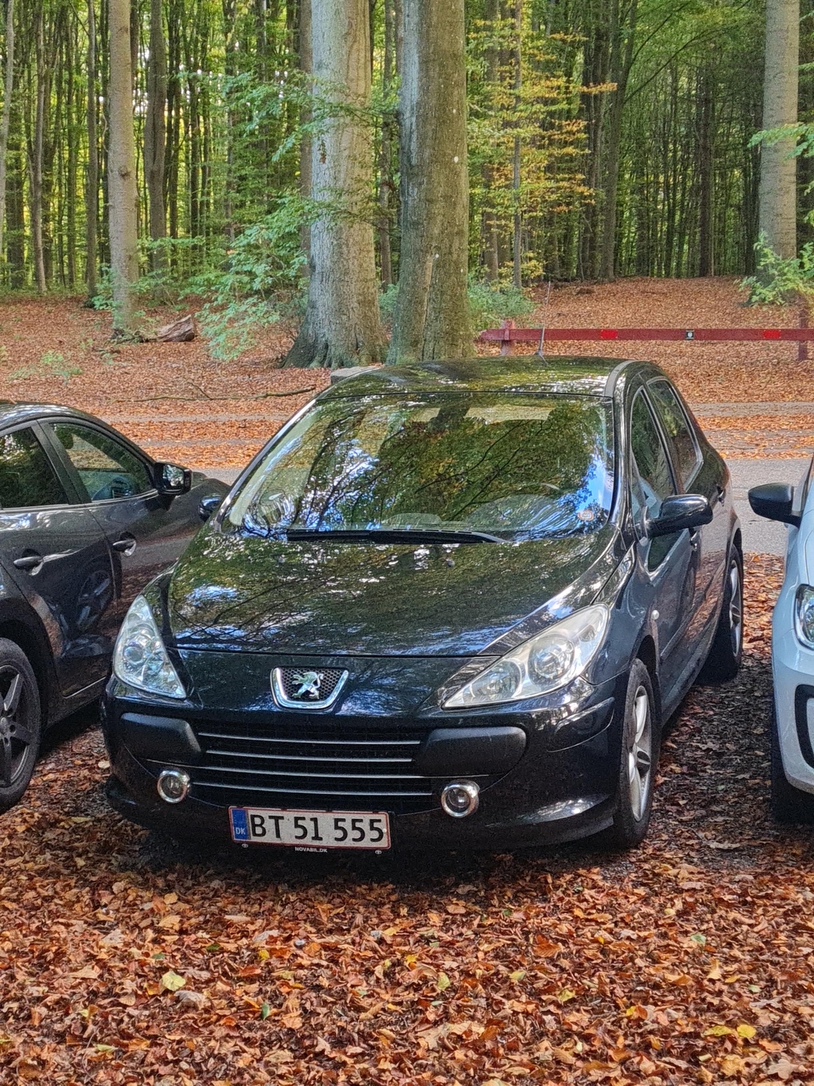 Peugeot 307 til salg hos Nabilli