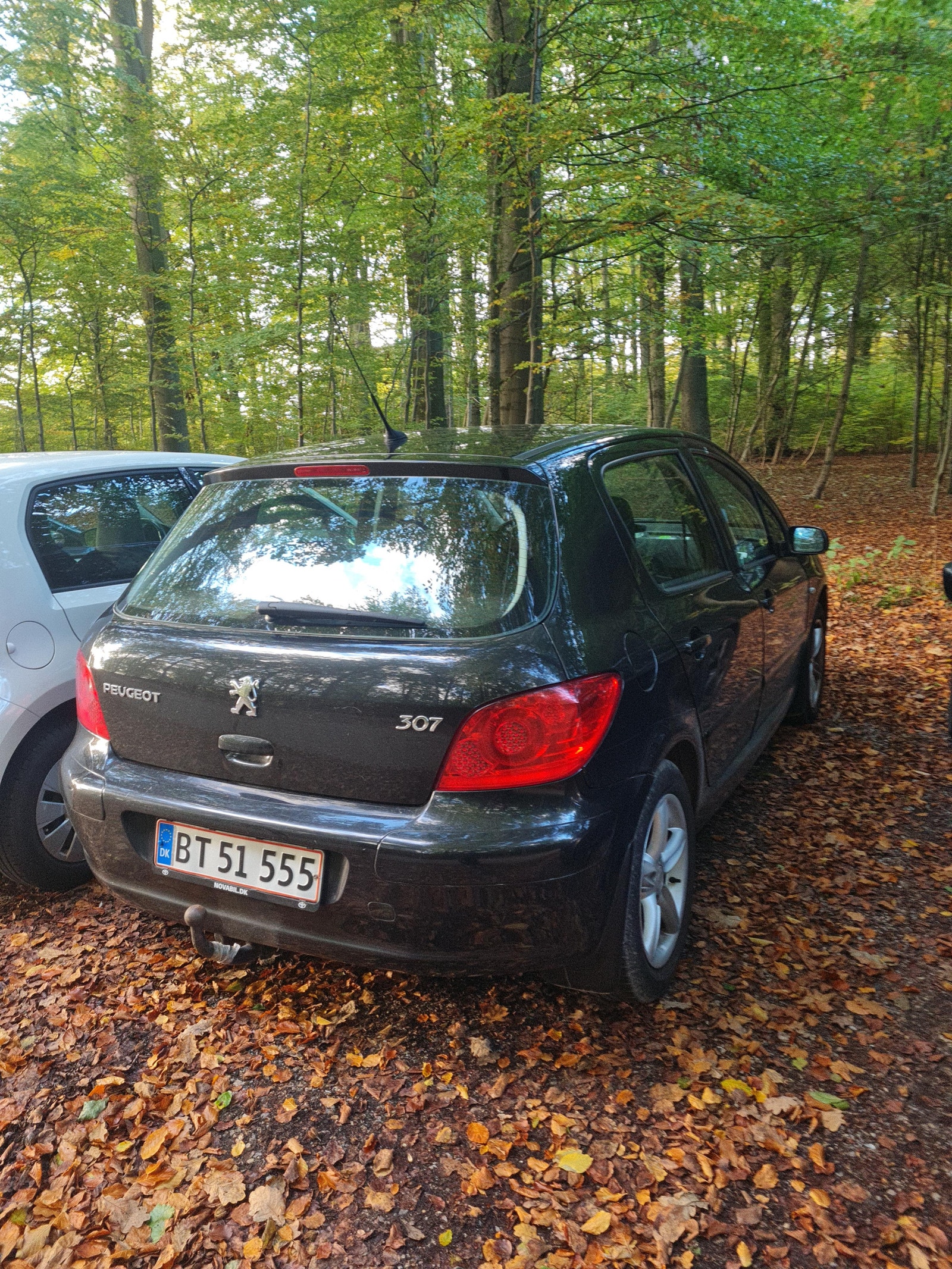 Peugeot 307 til salg hos Nabilli