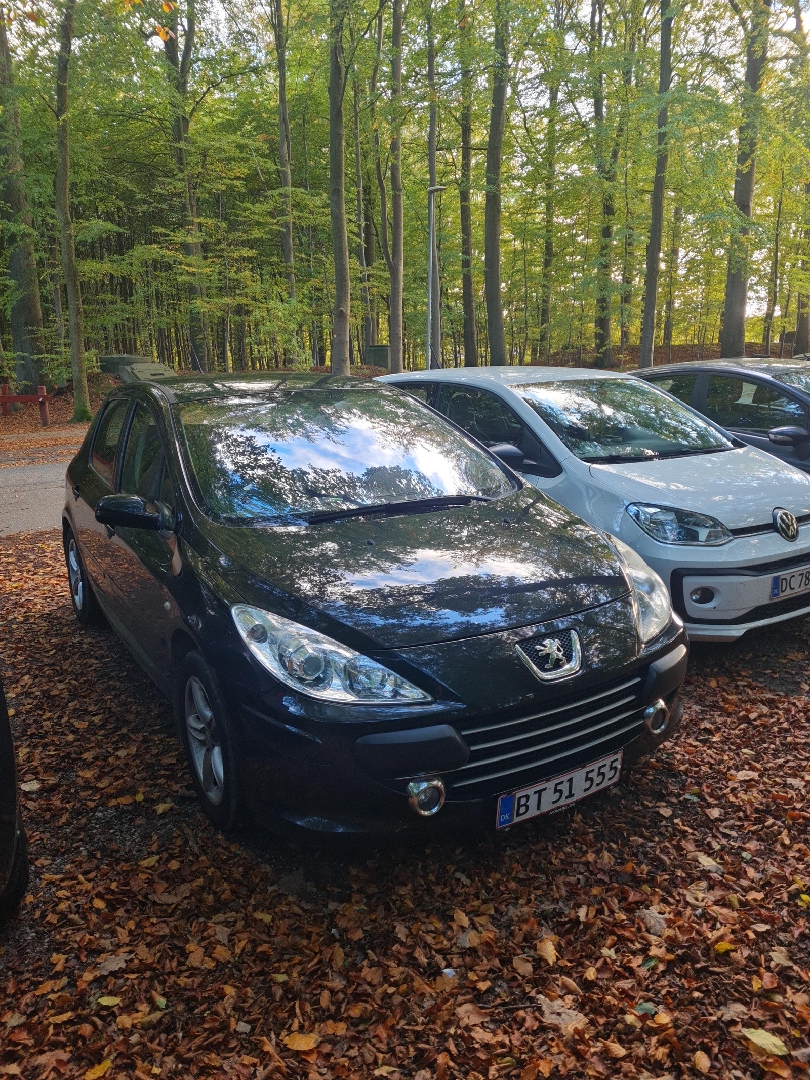 Peugeot 307 til salg hos Nabilli