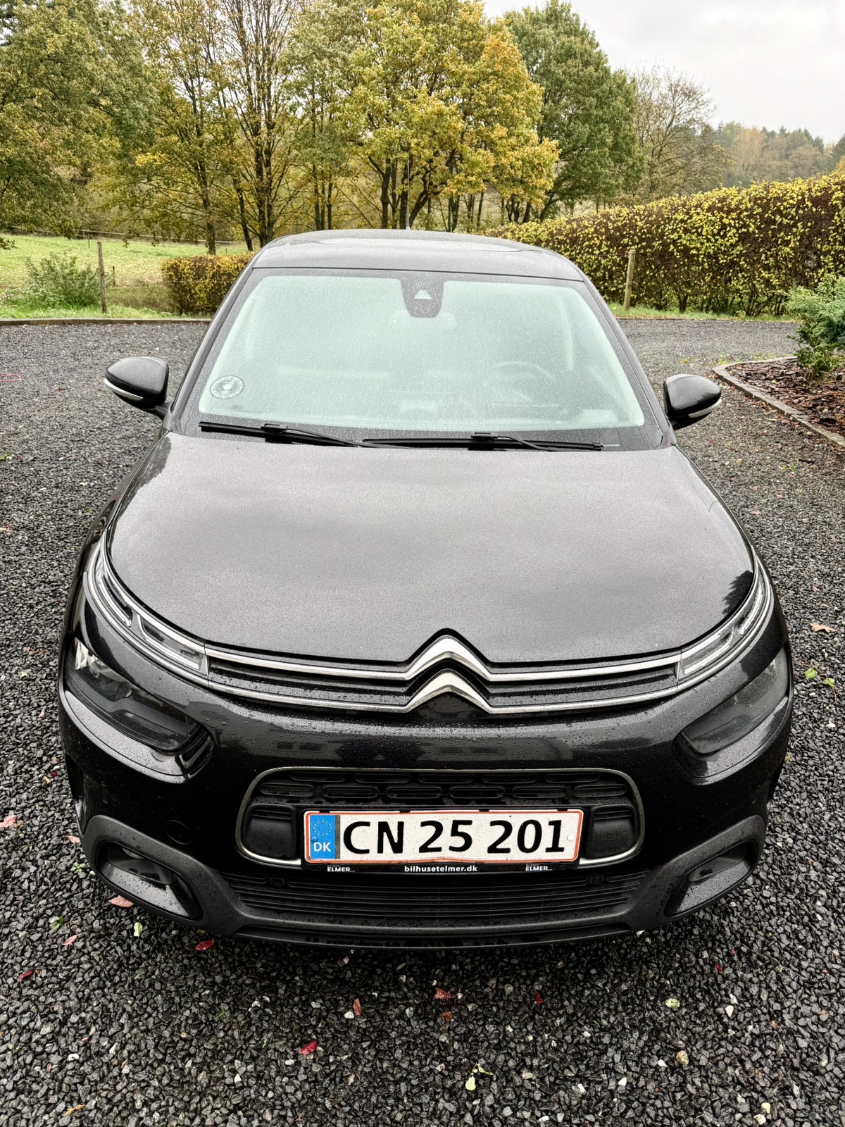 Citroen C4 Cactus til salg hos Nabilli
