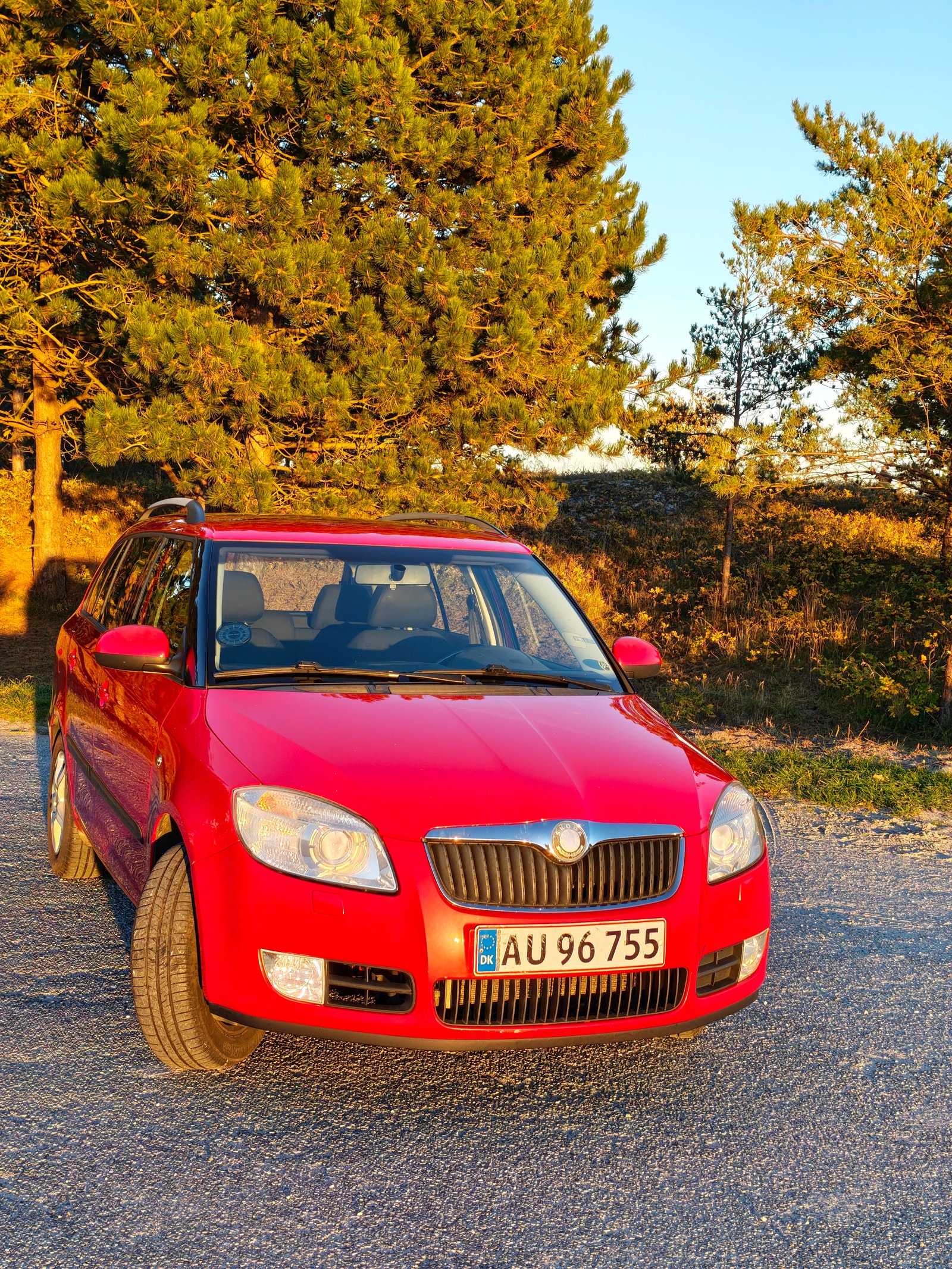Skoda Fabia til salg hos Nabilli