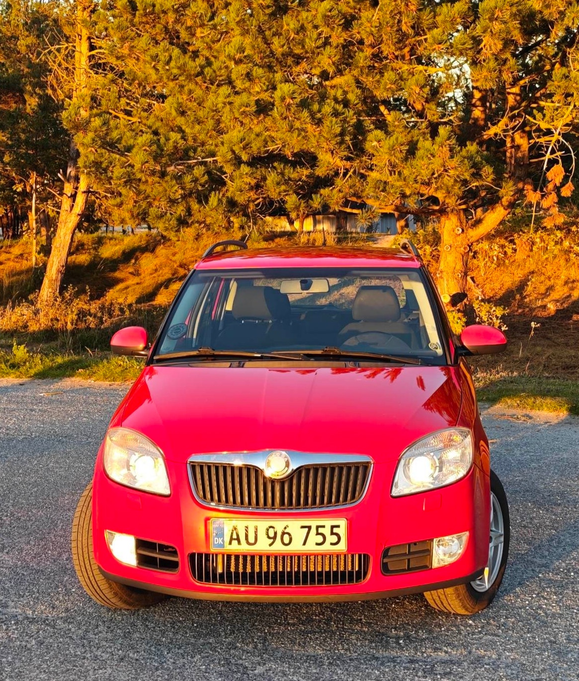 Skoda Fabia til salg hos Nabilli