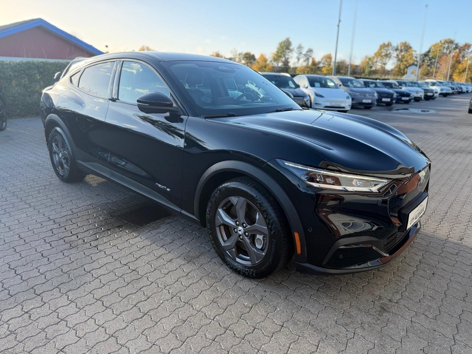 Ford Mustang Mach-E – billede 3