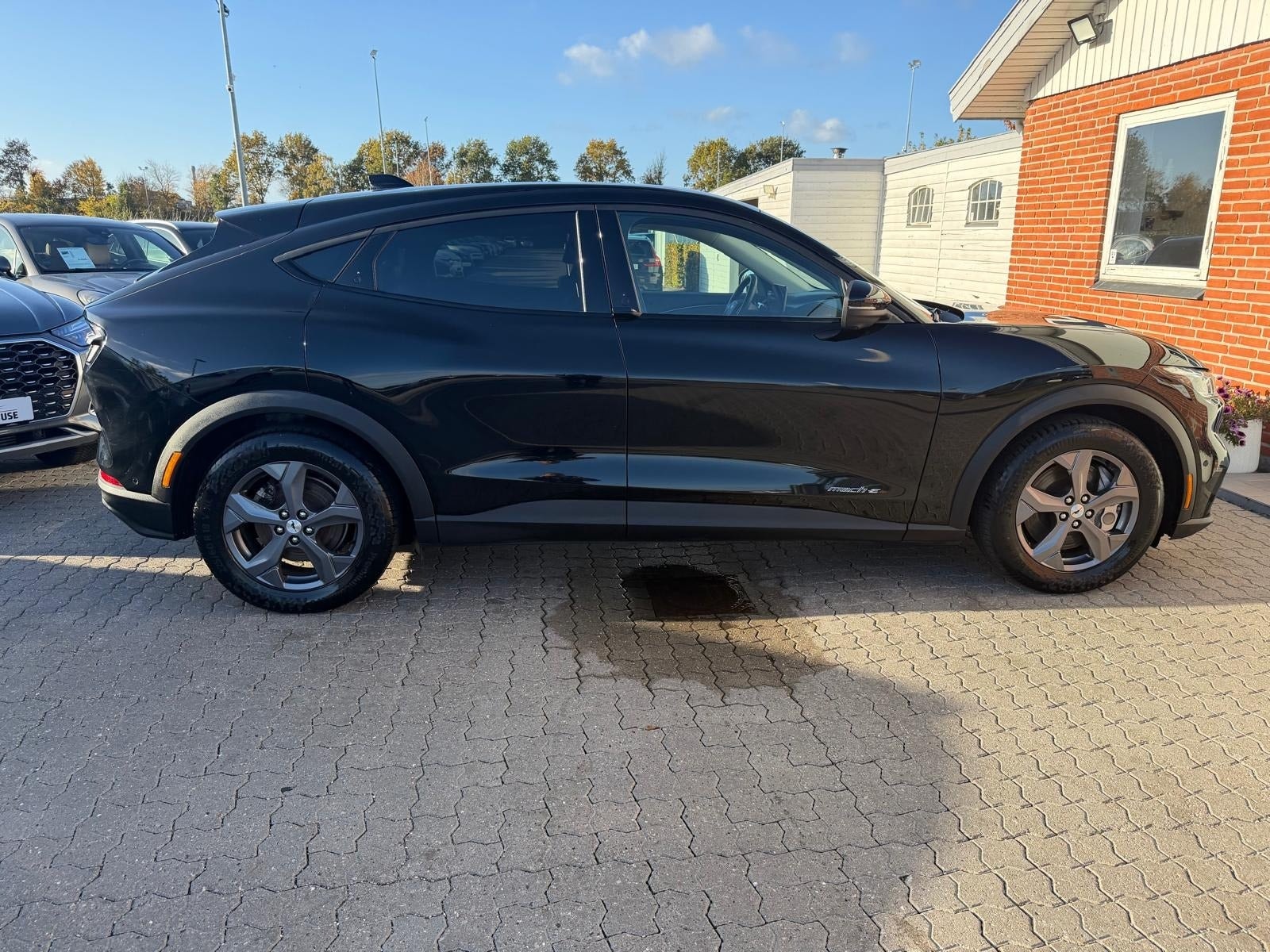 Ford Mustang Mach-E – billede 11