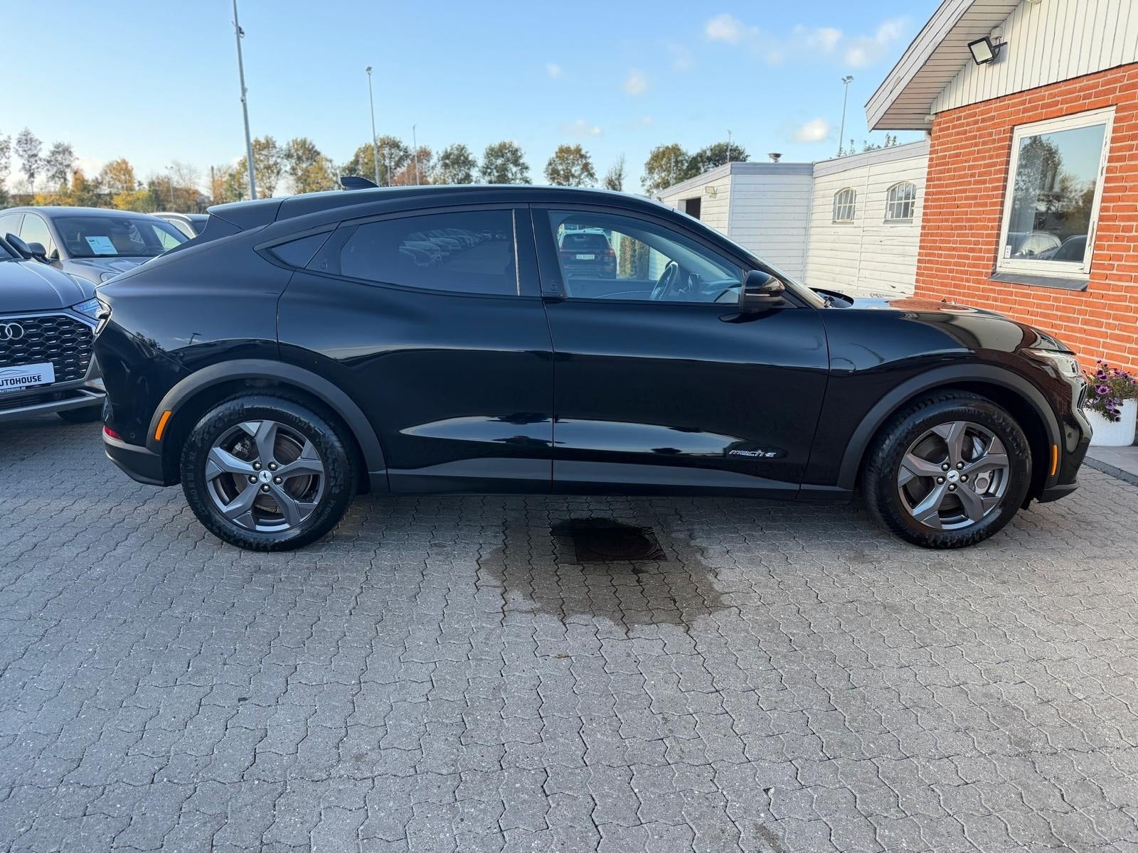 Ford Mustang Mach-E – billede 6