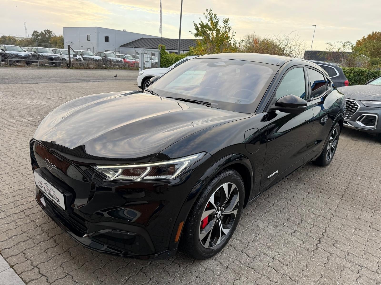 Ford Mustang Mach-E til salg hos Nabilli