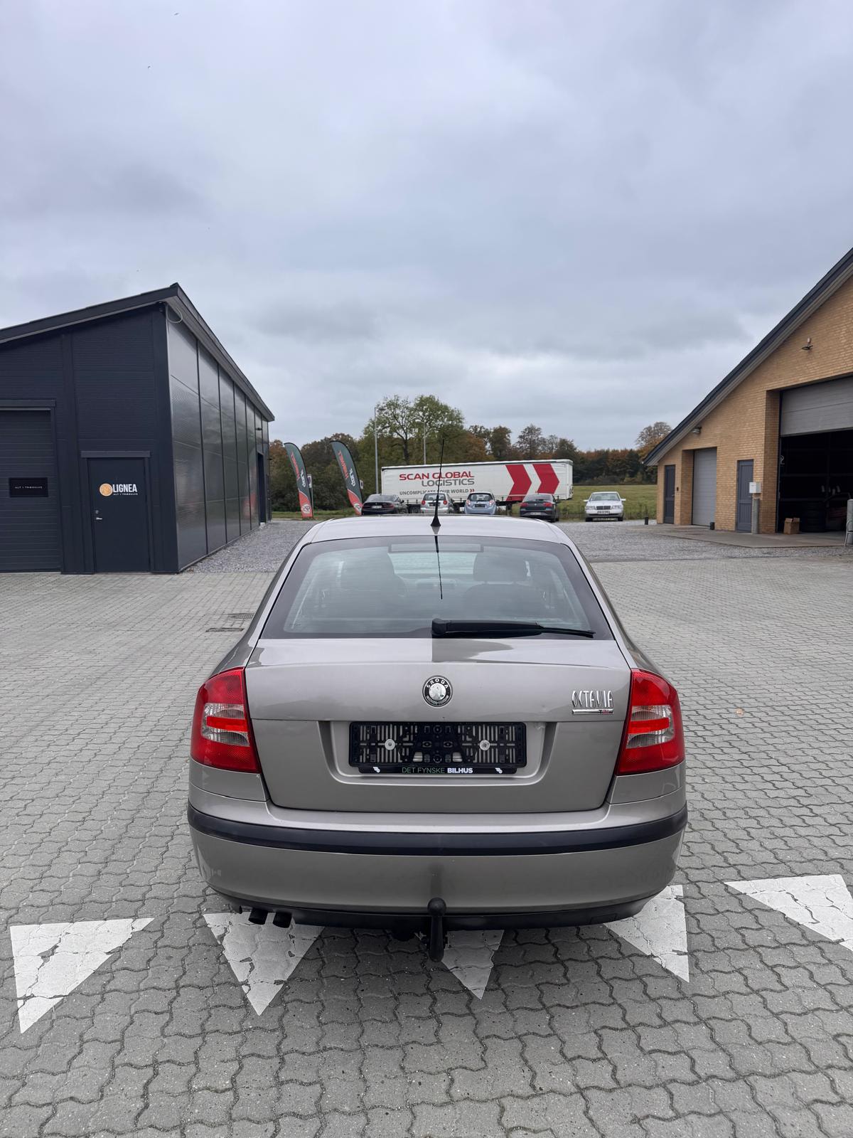 Skoda Octavia til salg hos Nabilli