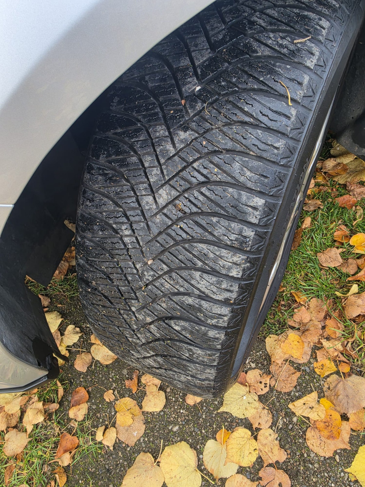 Ford Focus til salg hos Nabilli