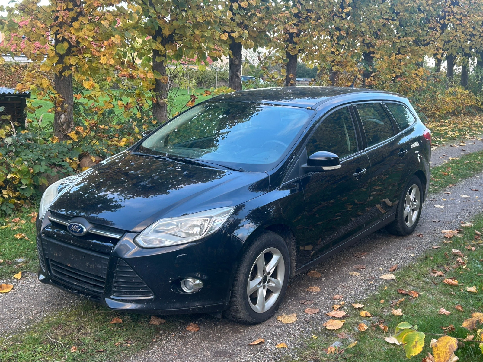 Ford Focus til salg hos Nabilli
