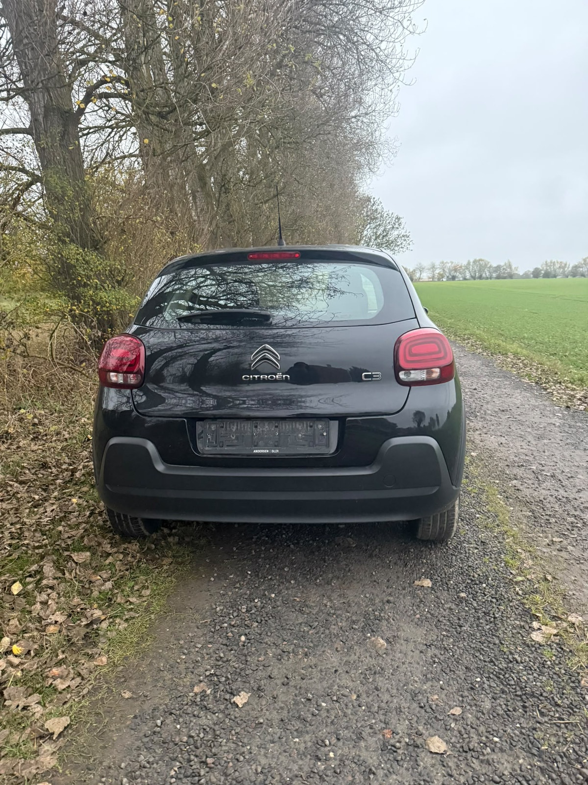 Citroen C3 til salg hos Nabilli