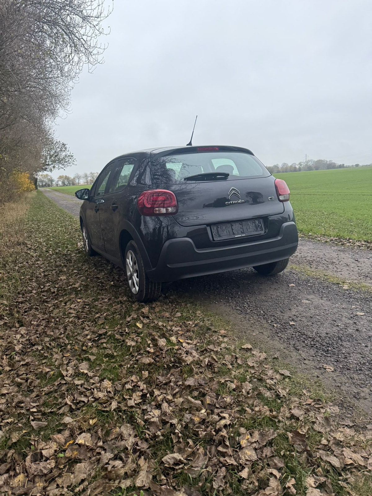 Citroen C3 til salg hos Nabilli