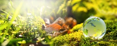 Forsidebillede til butikken El Recycling ApS