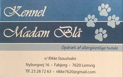 Forsidebillede til butikken Kennel Madam Blå