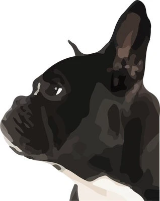 Bannerbillede for Kennel Chenil
