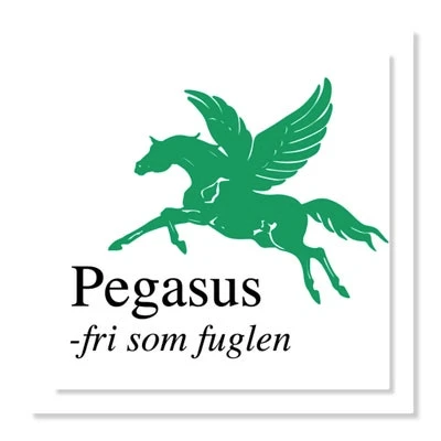 Bannerbillede for Pegasus El-scooter