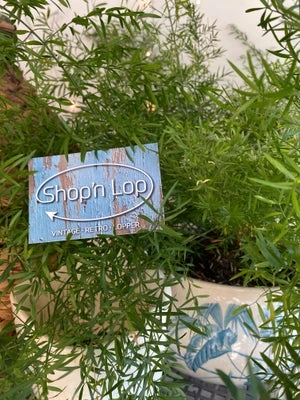 Bannerbillede for Shop’n lop