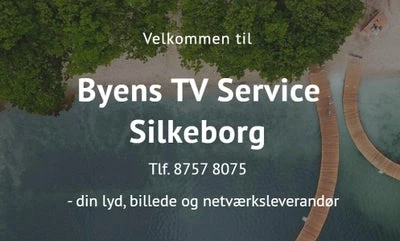 Forsidebillede til butikken Byens Tv Service