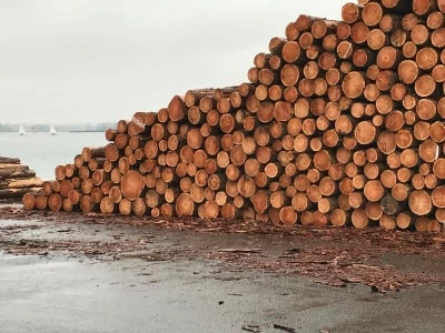 Forsidebillede til butikken Ny Fillerup Savværk ApS