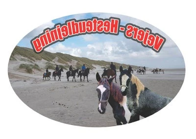 Forsidebillede til butikken vejers hesteudlejning