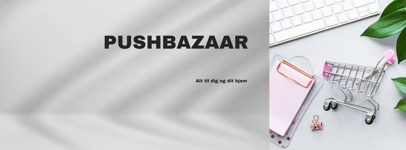 Forsidebillede til butikken Pushbazaar Shopping