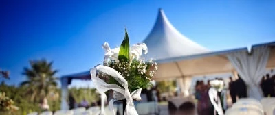 Forsidebillede til butikken Dancover