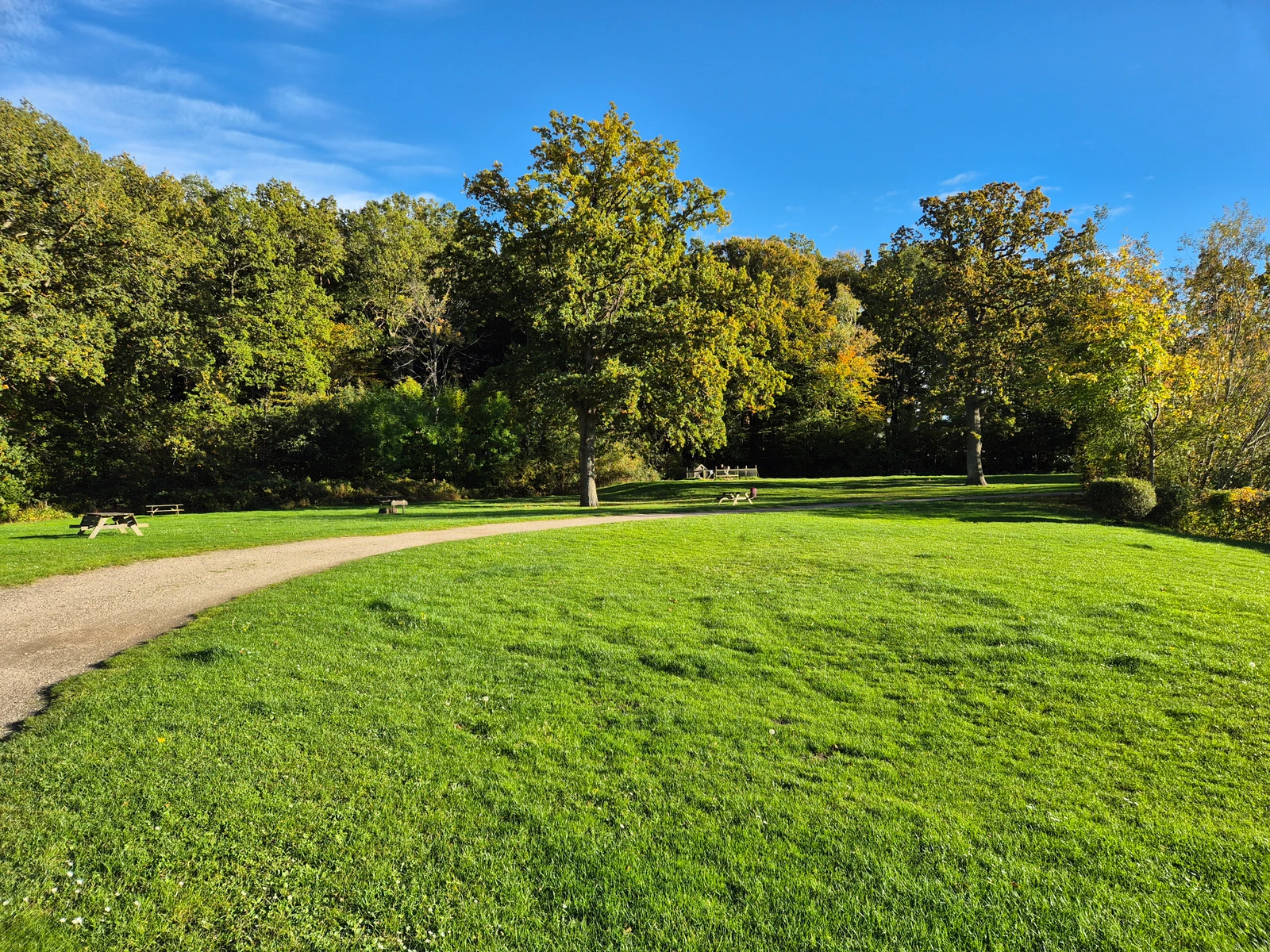 Forsidebillede til butikken Nivå Camping