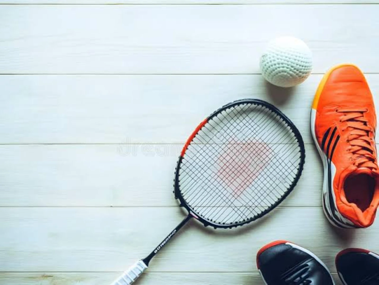 Forsidebillede til butikken Fjerboldshoppen.dk