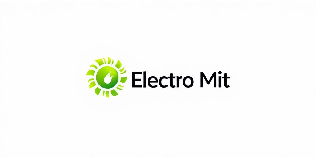 Forsidebillede til butikken Electro MIT