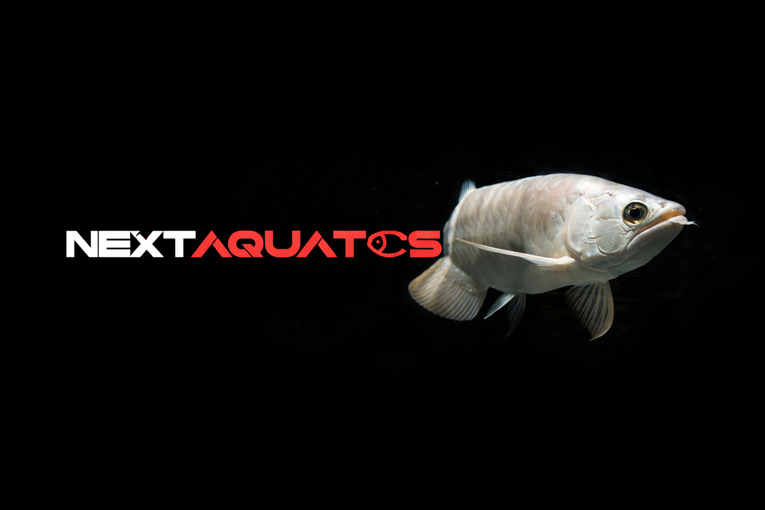 Forsidebillede til butikken Nextaquatics