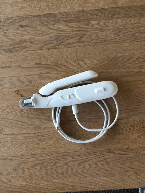 Din hund | Hunde | Til salg (side 1) | DBA