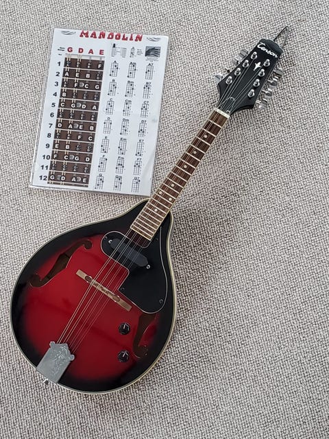 Musikinstrumenter mandolin | Til salg | DBA