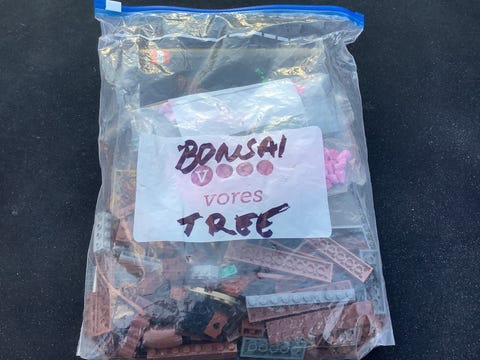 Bonsai | Til salg | DBA