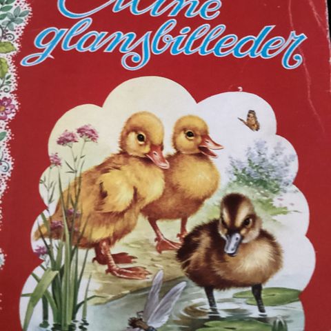 Annoncebillede