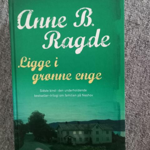 Annoncebillede