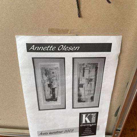 Annoncebillede