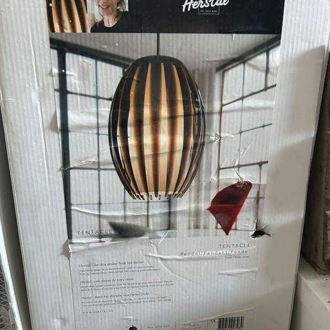 Annoncebillede