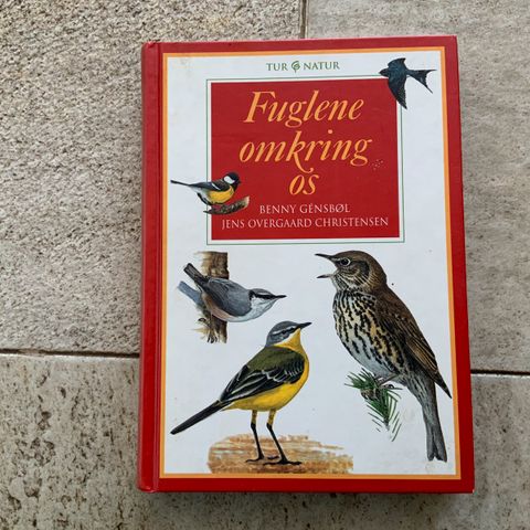 Annoncebillede