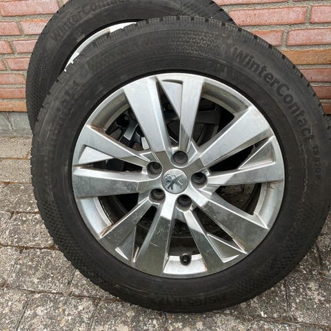 Annoncebillede